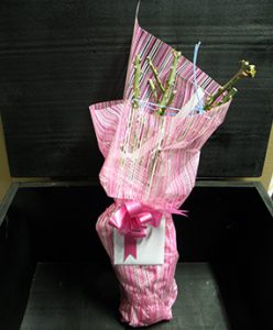 giftwrap_285x445px