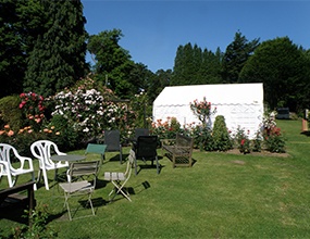 pococks nursery garden