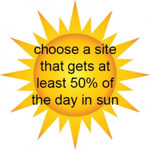 sunshine1